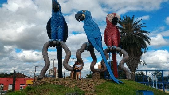 Foto de Campo Grande